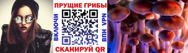 Псилоцибиновые грибы ЛСД  Алатырь 