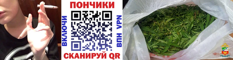 Каннабис конопля  Алатырь 